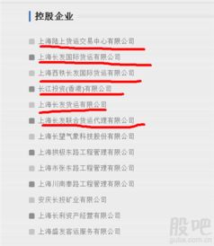 正宗自由港概念起风云 上海国资委长江投资，如何撬动物流与金属交易新纪元？